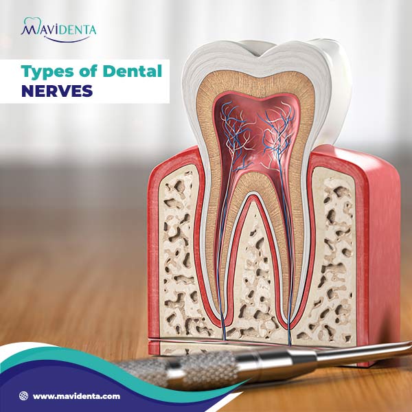 Symptoms of Dental Nerve Damage